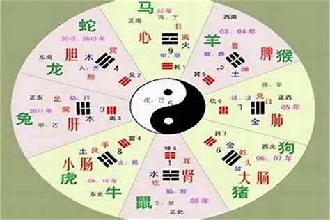 翹 五行|翹的五行属什么,翹字的五行属性,翹的寓意